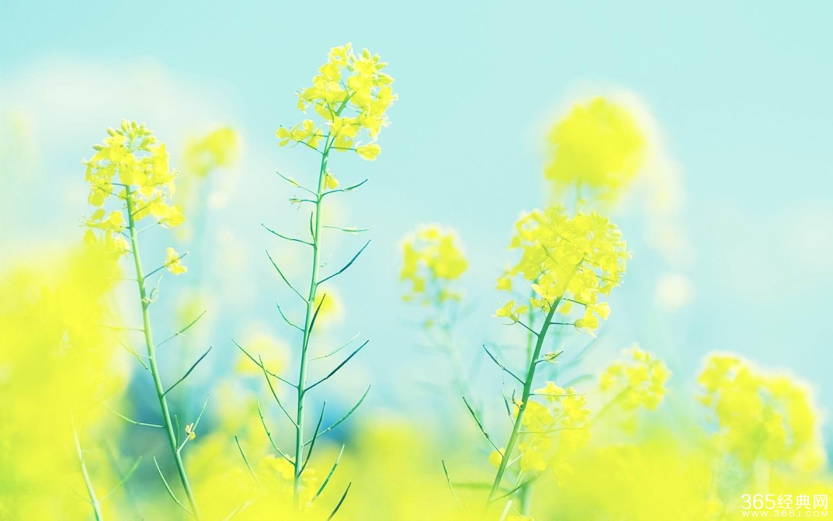 读书是一种时尚