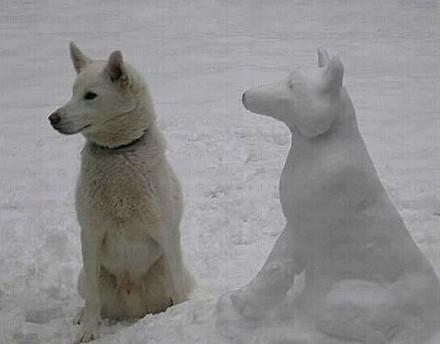 冷天冷笑话,更配哦