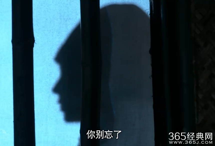 寂寞空庭春欲晚第三集黑衣蒙面女子