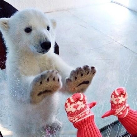 苦B的屌丝男女冷幽默