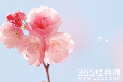 张扬,是青春的样子