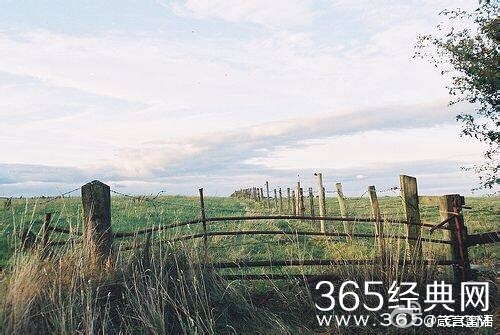 在喜欢的事上做第一名