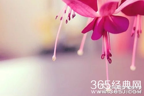 十八岁后，自己做决定，没人可以替你