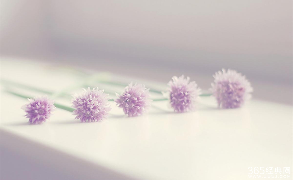 这是多久,不是成长