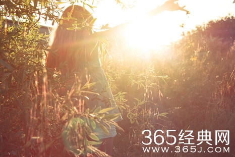 描写夏天的句子