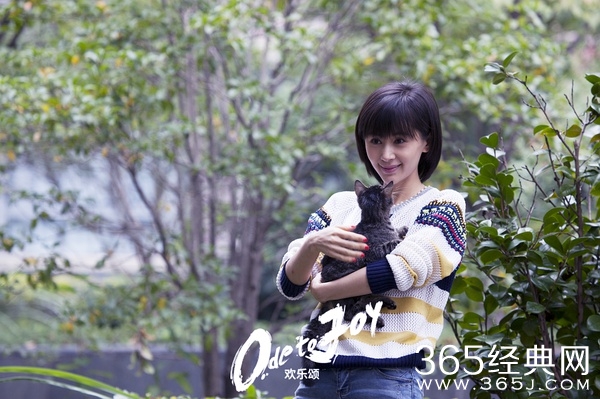 电视剧欢乐颂曲筱绡的扮演者王子文个人资料