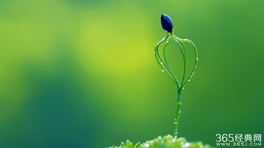 坚持下去，惊喜从不会迟到