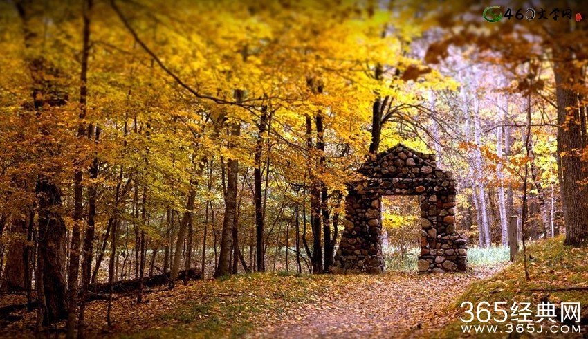 描写秋天的句子