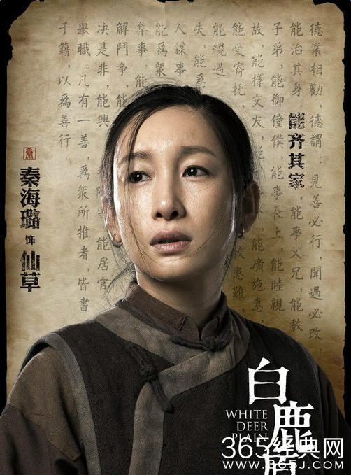 白鹿原仙草饰演者秦海璐个人资料