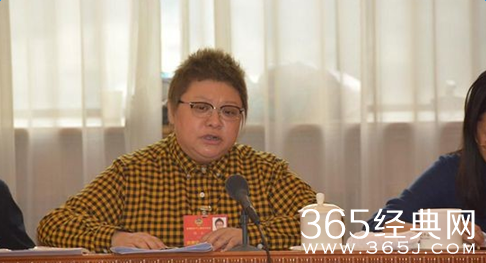 全国文艺界政协委员聚焦网络剧监管 演员韩红赵宝刚纷纷发声表态