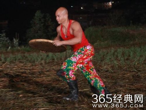 了不起的挑战乐嘉回归