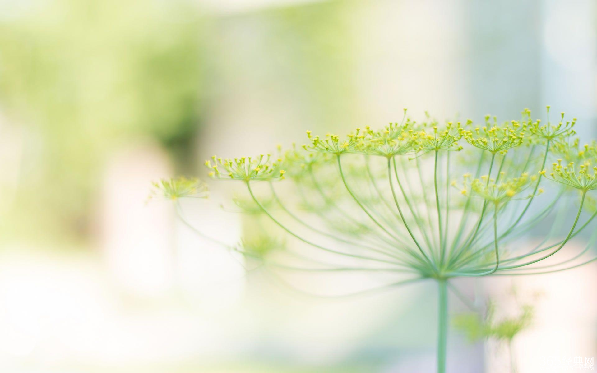 我年轻,我想要追求