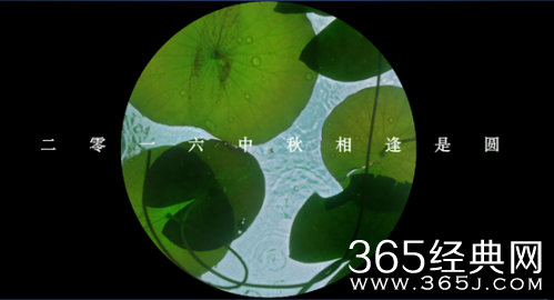 我不是潘金莲大尺度先导预告片曝光