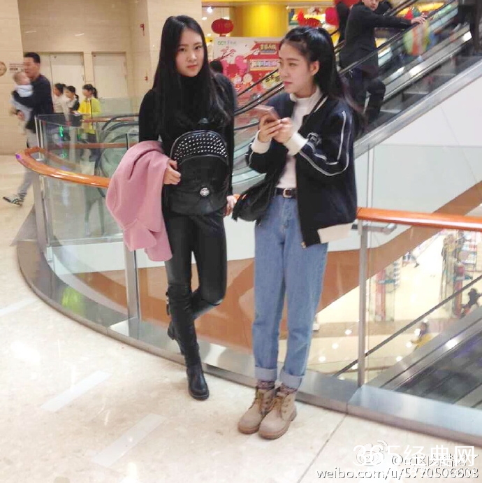 蜜蜂少女队高丽珊个人资料背景