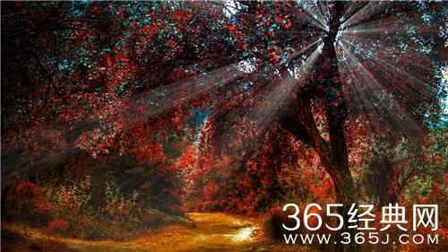 你只有足够强大，你说的NO才有用