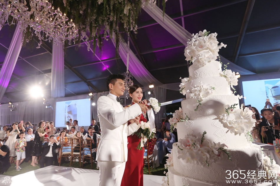 吴奇隆 刘诗诗婚礼泪洒婚宴