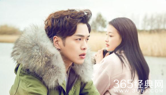 十五年等待候鸟全集百度云网盘资源下载