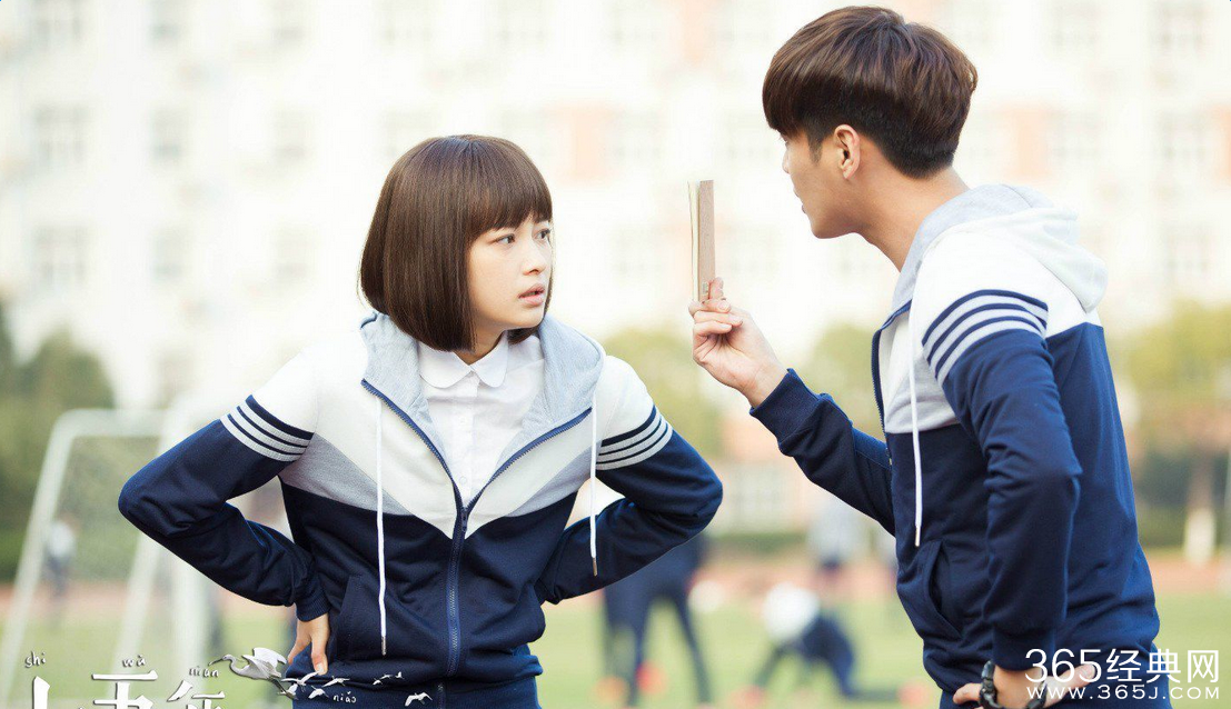 十五年等待候鸟全集百度云网盘资源下载