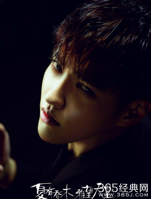 夏有乔木雅望天堂经典台词