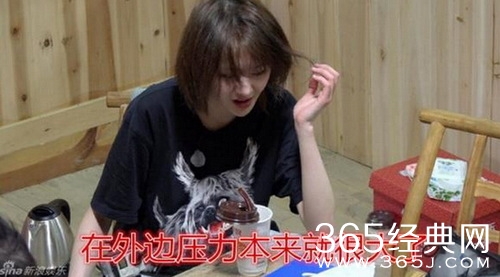 郑爽欲退出娱乐圈是真的吗 郑爽为什么退出娱乐圈性格分析