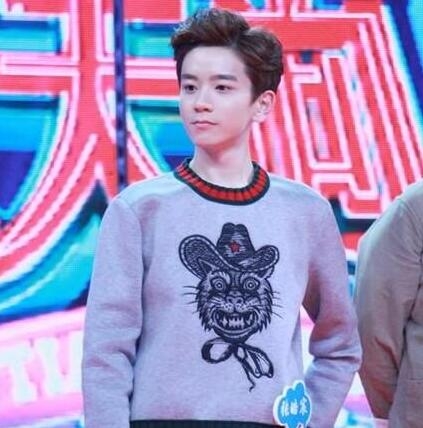 天天向上张皓宸个人资料微博家庭背景曝光 夺90作家榜榜首