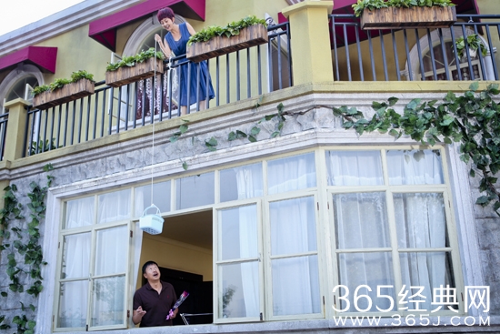 麻辣芳邻杨琴最后和老杨在一起了吗