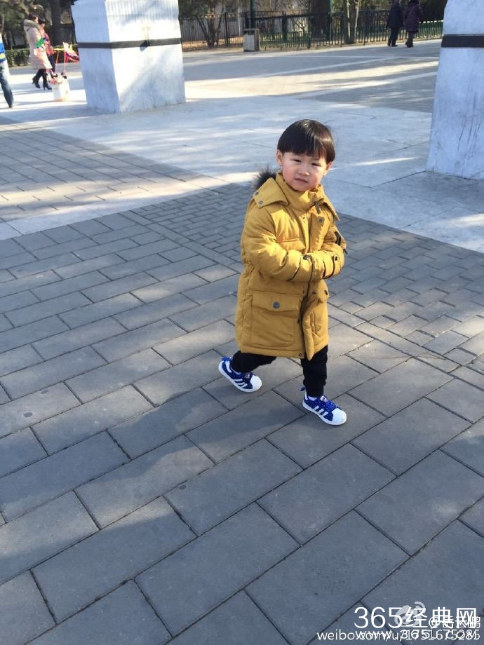 欢乐喜剧人第二季总决手名单