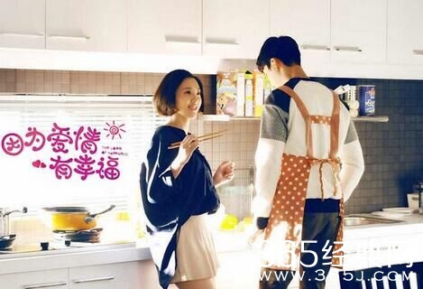 因为爱情有幸福有第二部吗