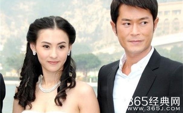 古天乐为什么一直单身