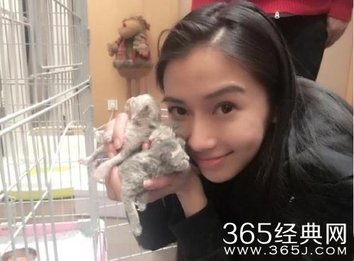 Baby晒小猫合影被网友催生