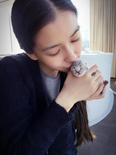 Baby晒小猫合影被网友催生