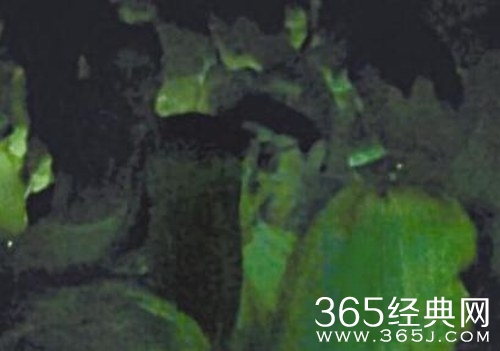 房祖名疑恋上19岁嫩模 女方混血神似Baby