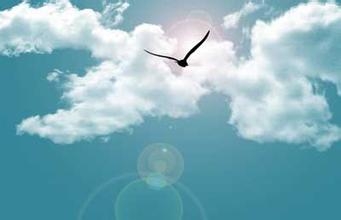 想成功又不努力，哪有那么多天上掉馅饼的好事？