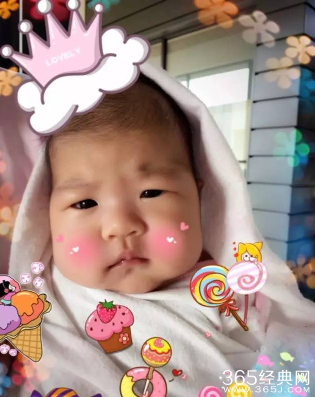 章子怡汪峰女儿 圆脸呆萌可爱照片曝光