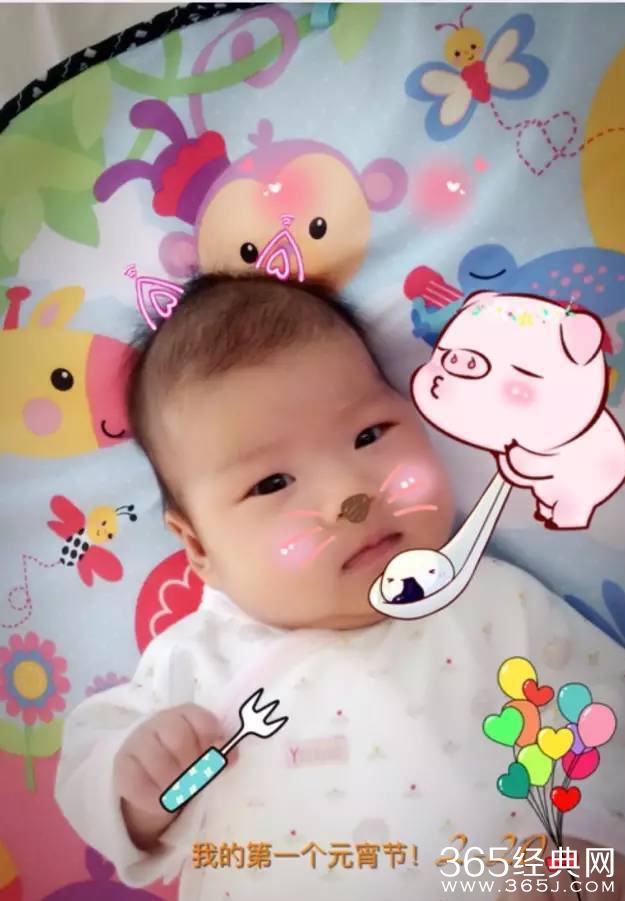 章子怡汪峰女儿 圆脸呆萌可爱照片曝光