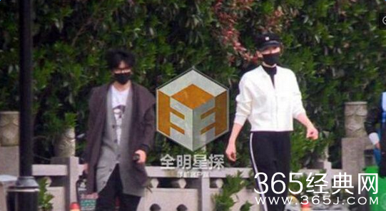 薛之谦与前妻高磊鑫复合是真的吗 薛之谦为什么离婚