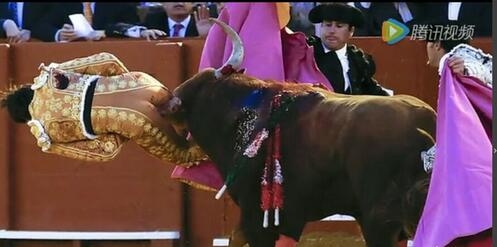 斗牛士遭犄角爆菊视频在线观看