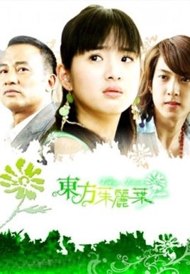 盘点林依晨演过的电视剧