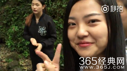 女孩峨眉山手机拍喂猴手机被猴子抢走视频