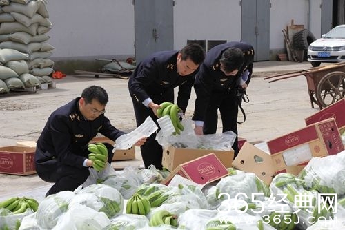 60吨香蕉含寄生虫 被销毁现场图曝光