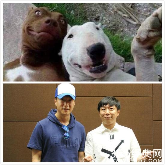 孙红雷又晒狗黑黄渤 网友:冤冤相报何时了