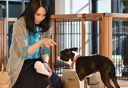 日剧我选择了不结婚每周更新多少集