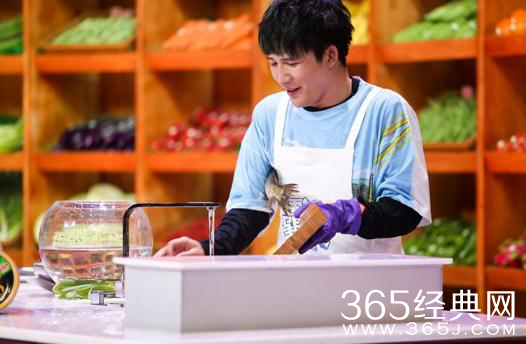 没想到！《拜托了冰箱》衍生节目登录湖南台