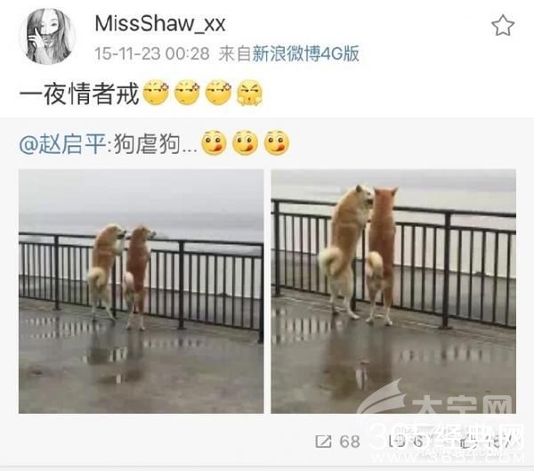 欢乐颂剧组有毒怎么回事？ 安迪被黑小三是真的吗？