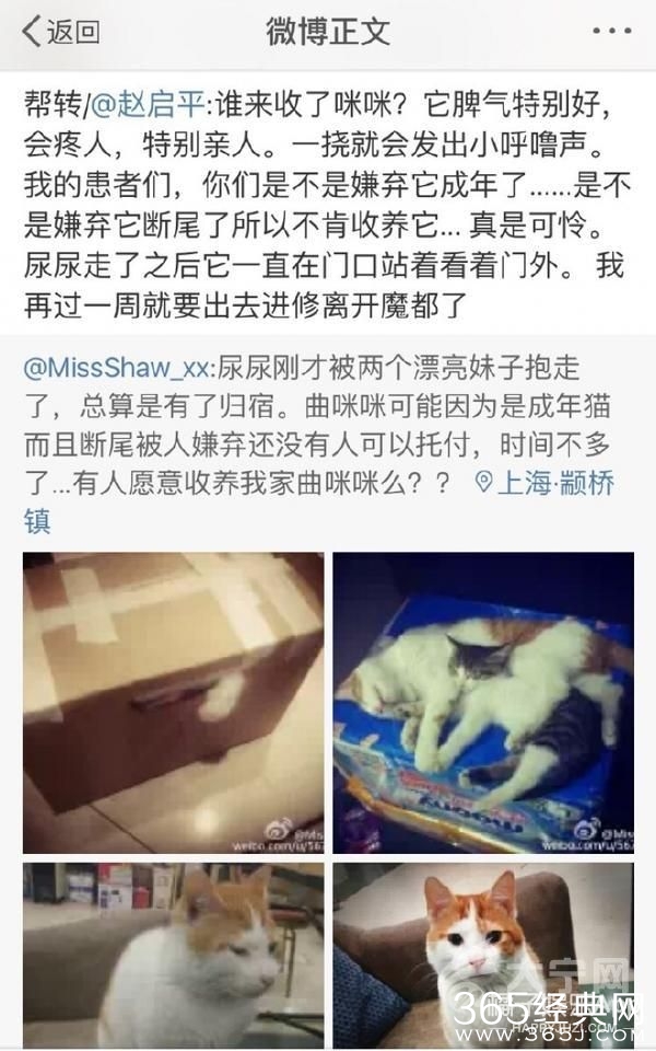 欢乐颂剧组有毒怎么回事？ 安迪被黑小三是真的吗？