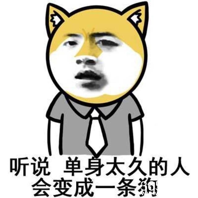 情侣幽默,恋爱不止,笑料不断