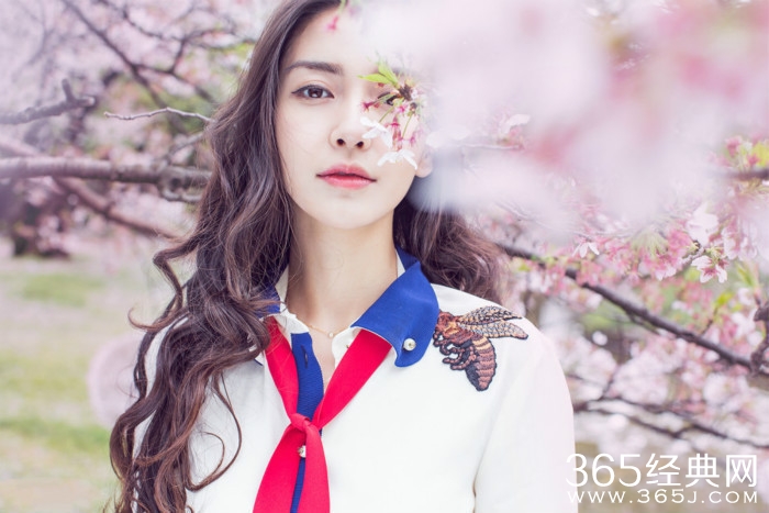 美哭了！Angelababy日本樱花写真曝光