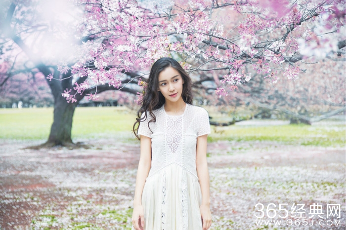 美哭了！Angelababy日本樱花写真曝光