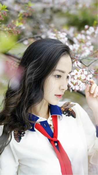 美哭了！Angelababy日本樱花写真曝光