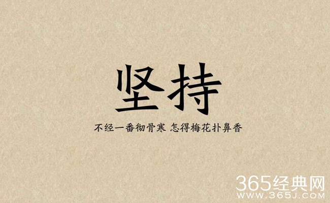 傻逼样的去坚持，自会看见牛逼的效果